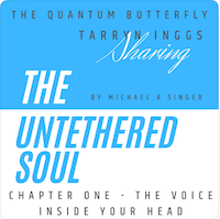 The Untethered Soul by Michael Singer